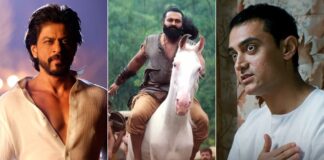 Kantara Chapter 1 Hindi Box Office Day 25