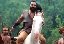 Kantara: Chapter 1 Worldwide Box Office Day 13