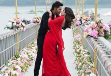 Sunny Sanskari Ki Tulsi Kumari Worldwide Box Office Day 19