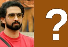 Bigg Boss 19: Who Becomes The New Captain After Amaal Mallik? Bigg Boss 19 Captaincy Task
