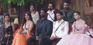 Bigg Boss 19 Ticket To Finale