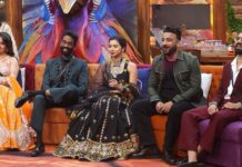 Bigg Boss 19 Week 13 Elimination