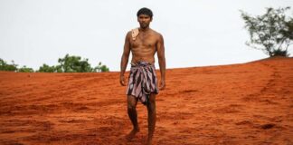 Bison Kaalamaadan Box Office Day 27: 233% Jump