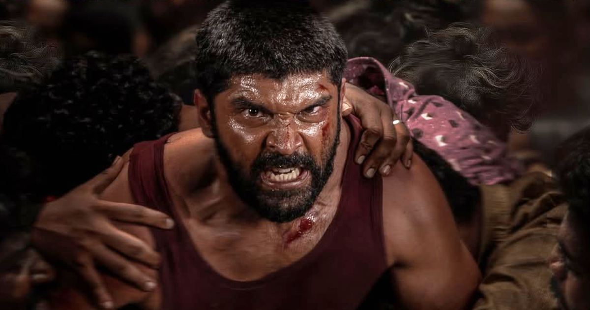 Bison Kaalamaadan Box Office