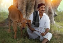 Idli Kadai OTT Verdict (Week 2): Dhanush Dethrones Prabhas After 1115 Days As He Hits A Viewership Milestone On Netflix! Idli Kadai OTT Verdict (Week 2): Dhanush Dethrones Prabhas After 1115 Days