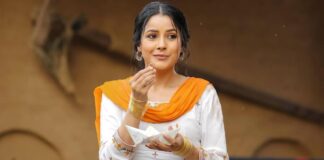 Ikk Kudi Box Office Collection Day 20: 89% Budget Recovered, Set To Become #6 Punjabi Grosser Of 2025! Ikk Kudi Box Office Collection