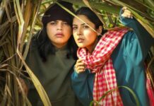 Ikk Kudi Box Office Collection