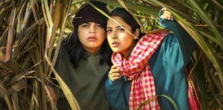 Ikk Kudi Box Office Collection