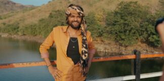 Laalo Box Office Collection Day 35: Budget & Returns Revealed