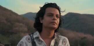 Laalo - Krishna Sada Sahaayate Box Office Day 43