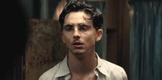 Marty Supreme Box Office