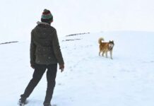 Oslo: A Tail of Promise To Premiere At IFFI 2025