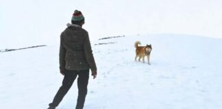 Oslo: A Tail Of Promise To Premiere At IFFI 2025, Celebrating A Powerful Human–Animal Bond Oslo: A Tail of Promise To Premiere At IFFI 2025