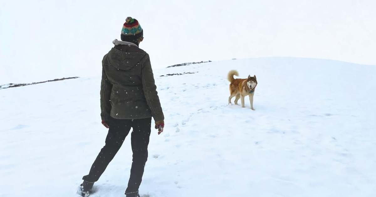 Oslo: A Tail of Promise To Premiere At IFFI 2025