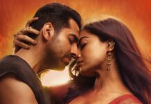 Thamma Worldwide Box Office Day 14