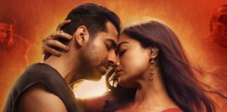 Thamma Worldwide Box Office Day 14