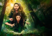 Thamma Worldwide Box Office Day 21