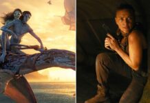 Avatar: Fire And Ash China Box Office