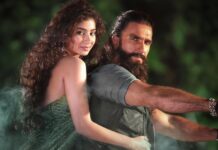 Dhurandhar Telugu Release: Ranveer Singh’s Blockbuster Film To Get Dubbed Version Soon? Ranveer Singh’s Film To Hit Theaters In Telugu Version?