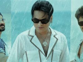 Roi Roi Binale Box Office Collection Day 45