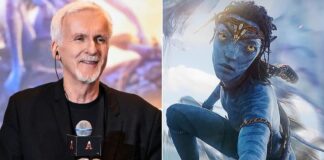 Avatar: Fire and Ash Box Office