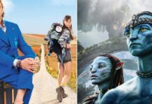 Buen Camino Italy Box Office Update