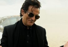 Dhurandhar Box Office Collection Day 29: Crosses 250% Profits But Breaks Its Double-Digit Streak! Dhurandhar Box Office Collection Day 29 Update!