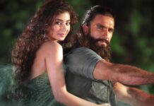 Dhurandhar Overseas Box Office