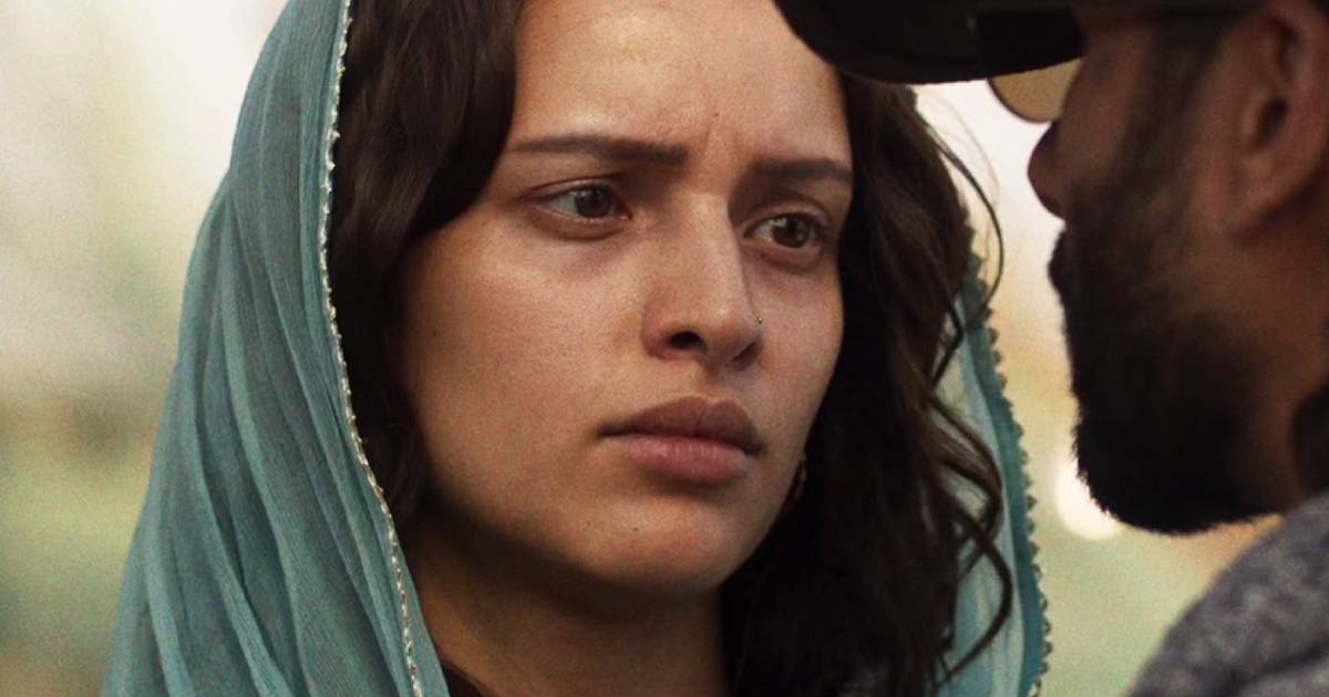 O Romeo Movie Review Ft. Shahid Kapoor & Triptii Dimri In The Bloodiest Valentine Offering!