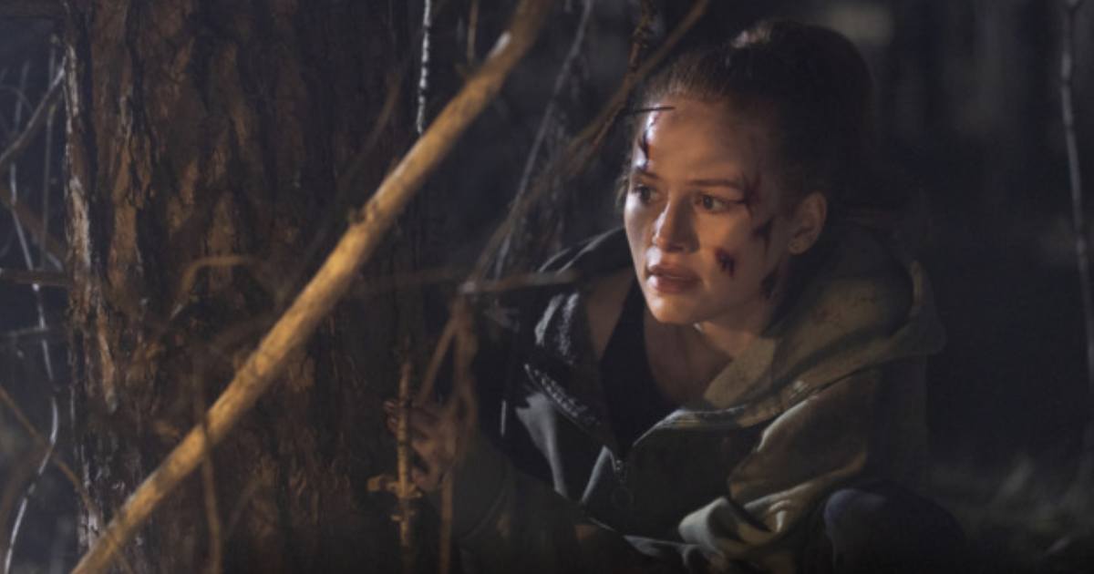 The Strangers: Chapter 3 Box Office