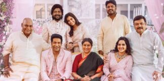 Hey Balwanth Box Office