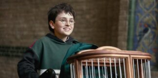 Harry Potter Reboot: 7 Things You Must Do Before Watching HBO’s New Series Things to do before watching Harry Potter reboot