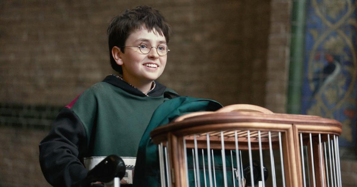 Things to do before watching Harry Potter reboot