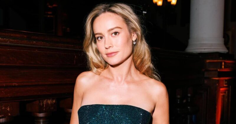 Top 5 Brie Larson Films Ranked From Avengers Endgame To 21 Jump Street top-5-brie-larson-films-ranked-from-avengers-endgame-to-21-jump-street