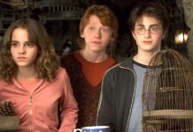 Harry Potter Franchise Box Office: Which Film Delivered The Best Return On Budget? Harry Potter Franchise Box Office