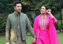 Parineeti Chopra & Raghav Chadha Net Worth