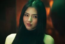 Project Y Box Office