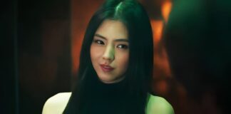 Project Y Box Office