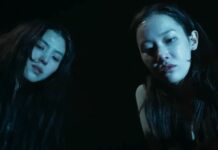 Project Y Ending Explained