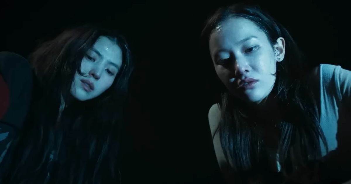 Project Y Ending Explained