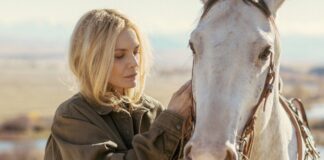 The Madison Season 3 Renewed: What To Know Before Season 2 Release The Madision Renewed For Season 3