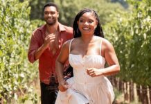 You, Me & Tuscany North America Box Office: Nears Greenland 2: Migration – And Here’s What It Still Needs To Break-Even You, Me & Tuscany North America Box Office