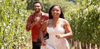 You, Me & Tuscany North America Box Office