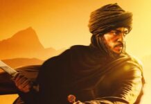 Desert Warrior Worldwide Box Office