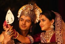 Krishnavataram Box Office Collection Day 10
