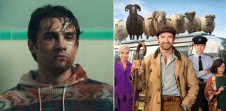 Obsession North America Box Office: Inches Away From Outgrossing The Sheep Detectives