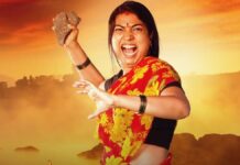 Deool Band 2 Box Office Collection Day 15