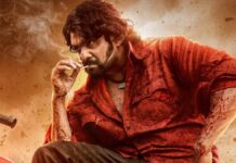 KD – The Devil Box Office
