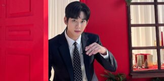 Kim Soo-hyun Legal Battle