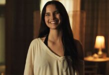 Obsession North America Box Office